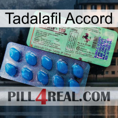 Tadalafil Accord new02